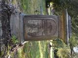 image of grave number 938265